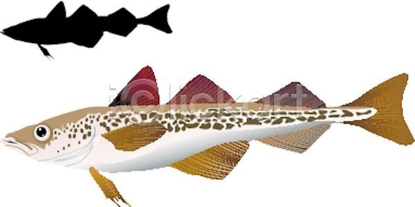 EPS 실루엣 일러스트 해외이미지 검은색 그래픽 그림 낚시 동물 땅 물 미술 바다 빛 선 심플 알래스카 야생동물 어류 웹 육류 음식 자연 저울 줄무늬 지느러미 포식 해외202004 해외일러스트 현실 흰색