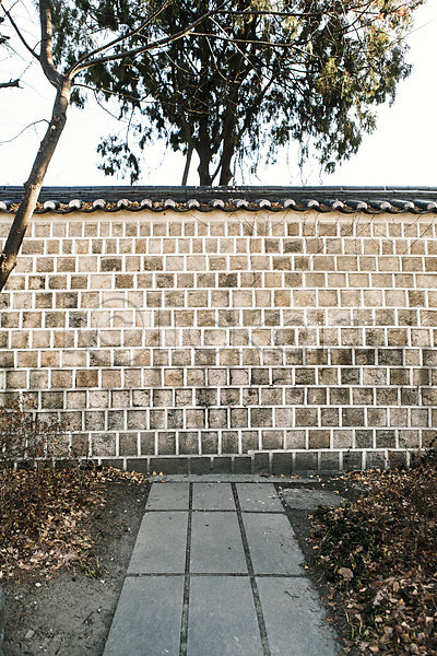 사람없음 JPG 포토 건물 겨울 골목길 나무 낙엽 돌담 백그라운드 삼청동 서울 식물 야외 주간 풍경(경치)