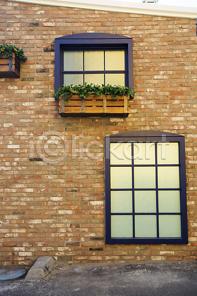 사람없음 JPG 포토 건물 겨울 배경화면 백그라운드 벽 벽돌 서울 식물 야외 외벽 주간 창문 풍경(경치) 화초