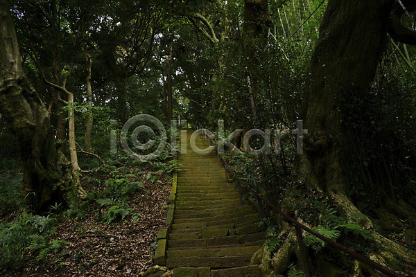 사람없음 JPG 포토 계단 나무 등산로 산책로 숲 식물 야외 오르막 자연 주간 풍경(경치)