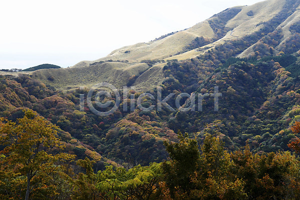 사람없음 JPG 포토 가을(계절) 가을풍경 계절 나무 단풍 산 산등성이 식물 야외 자연 주간 풍경(경치)