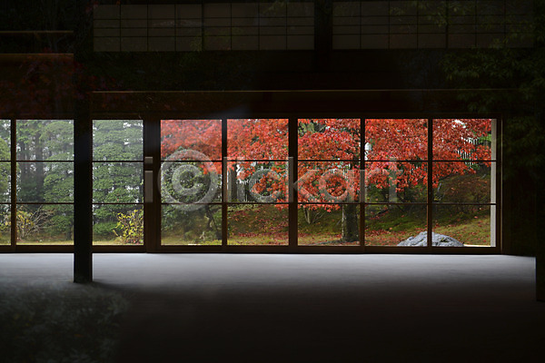 사람없음 JPG 포토 가을(계절) 가을풍경 건축물 계절 나무 단풍 단풍나무 식물 실내 자연 정원 주간 창문 풍경(경치)