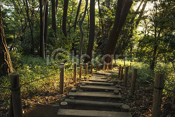 사람없음 JPG 포토 계단 나무 내리막 산책로 숲 숲속 식물 야외 울타리 자연 주간 풍경(경치)