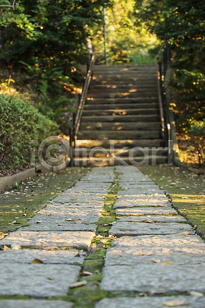 사람없음 JPG 아웃포커스 포토 계단 길 나무 돌다리 산책로 숲 식물 야외 오솔길 원근감 자연 주간 풍경(경치)
