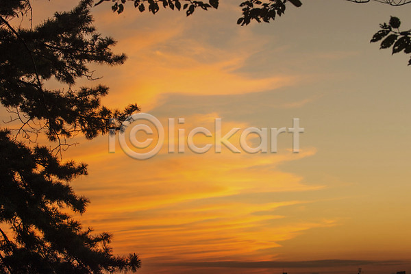 사람없음 JPG 실루엣 포토 구름(자연) 나무 노을 식물 야외 일몰 자연 자연현상 주간 풍경(경치) 하늘