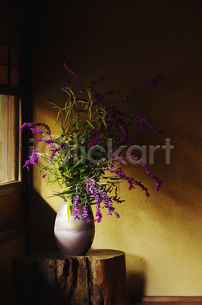 사람없음 JPG 포토 꽃 꽃병 식물 실내 오브젝트 장식 주간 창가 햇빛