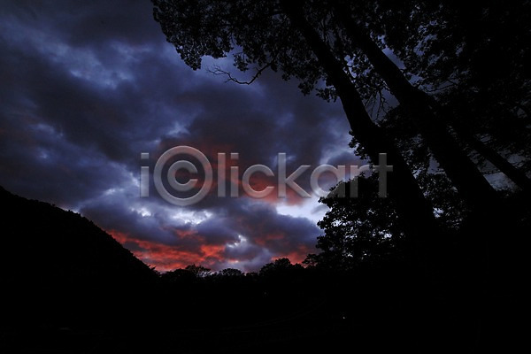사람없음 JPG 실루엣 포토 구름(자연) 나무 노을 식물 야외 어둠 일몰 일출 자연 풍경(경치) 하늘
