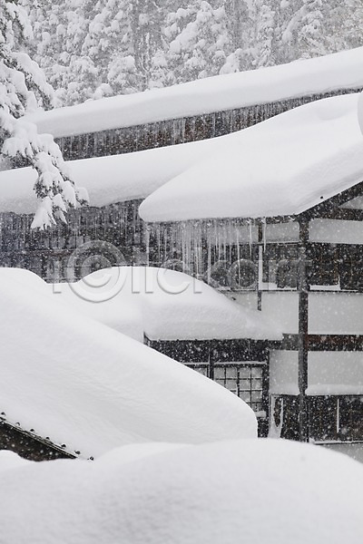 사람없음 JPG 포토 건축물 겨울 나무 눈(날씨) 눈내림 식물 야외 자연 주간 주택 풍경(경치)