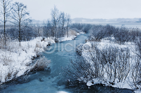사람없음 JPG 포토 겨울 계절 나무 눈(날씨) 식물 야외 자연 주간 풍경(경치) 호수