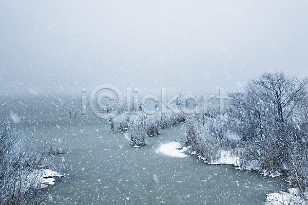 사람없음 JPG 포토 겨울 계절 나무 눈(날씨) 식물 야외 연못 자연 주간 풍경(경치) 호수