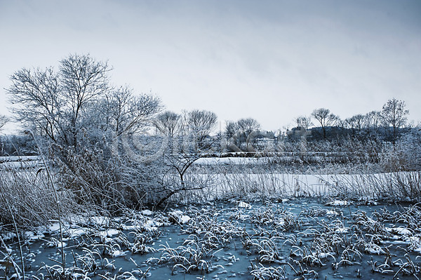 사람없음 JPG 포토 겨울 계절 나무 눈(날씨) 식물 야외 자연 주간 풍경(경치) 하늘