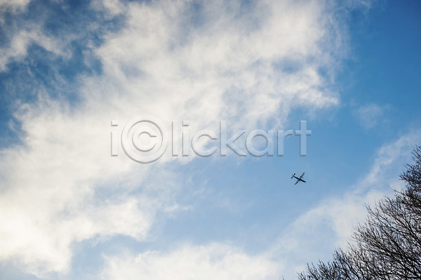 사람없음 JPG 포토 구름(자연) 나무 맑음 비행 비행기 식물 야외 자연 주간 풍경(경치) 하늘