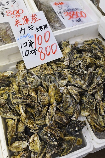 사람없음 JPG 포토 가격 야외 음식 일본 일본문화 재래시장 조개 주간 판매 풍경(경치) 해산물