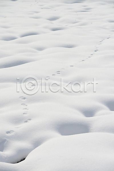 사람없음 JPG 포토 겨울 계절 눈(날씨) 발자국 백그라운드 설경 설원 야외 자연 주간 풍경(경치)