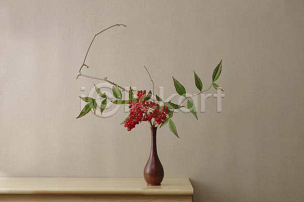 사람없음 JPG 포토 꽃 꽃병 나뭇가지 나뭇잎 식물 실내 열매 오브젝트 장식 탁자