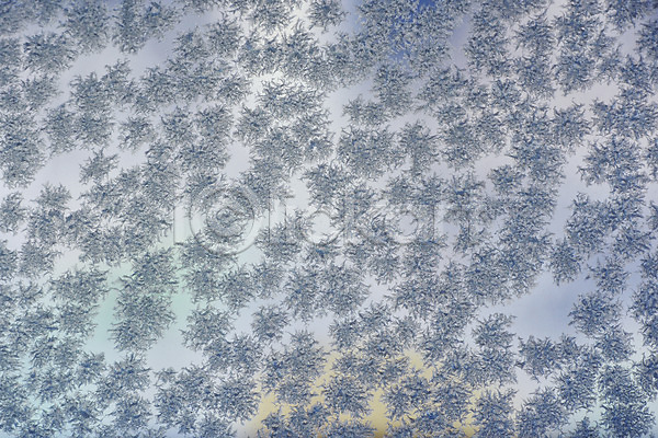 추위 사람없음 JPG 포토 겨울 계절 무늬 백그라운드 얼음 자연 창문