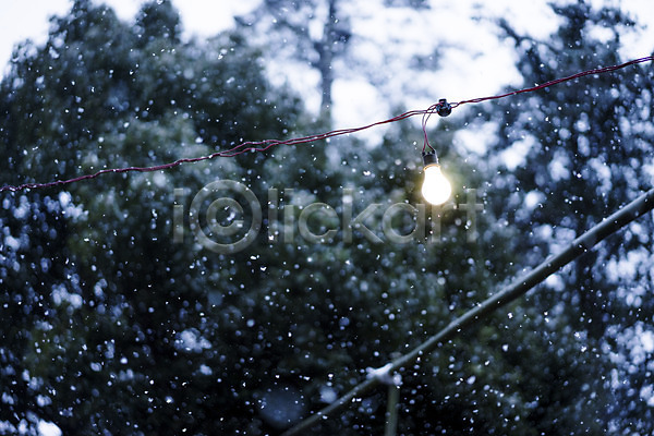 사람없음 JPG 아웃포커스 포토 겨울 계절 나무 눈(날씨) 식물 야외 전구 전선 조명 주간