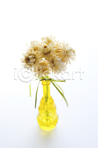 사람없음 JPG 아웃포커스 포토 꽃 꽃병 리본 식물 오브젝트 장식