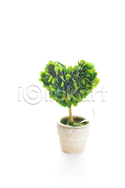 사람없음 JPG 포토 미니 식물 오브젝트 작음 장식 하트 화분