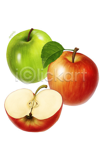 사람없음 PSD 일러스트 과일 농작물 디테일 빨간색 사과(과일) 식재료 아오리 아오리사과 음식 초록색 컬러