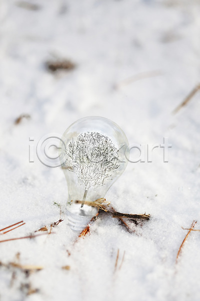 사람없음 3D JPG 편집이미지 겨울 계절 나무 눈(날씨) 백그라운드 식물 전구 편집