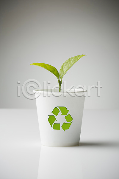 사람없음 3D JPG 편집이미지 백그라운드 새싹 스튜디오촬영 식물 실내 재활용 재활용표시 종이컵 편집 환경