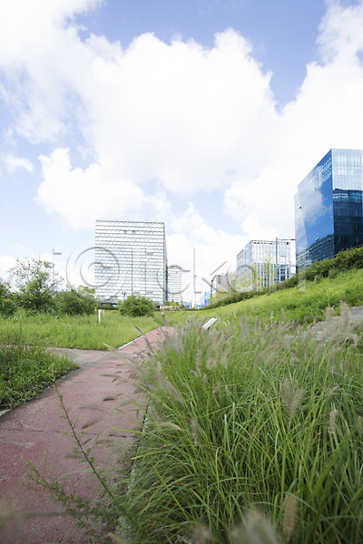 사람없음 JPG 포토 길 도시풍경 맑음 빌딩 식물 야외 잡초 주간 풍경(경치) 하늘