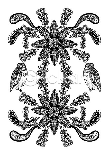사람없음 AI(파일형식) 일러스트 흑백 꽃 대칭 동물 문양 백그라운드 부엉이 식물 젠탱글 조류 컬러 패턴 패턴백그라운드