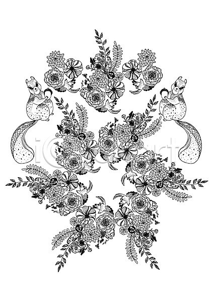 사람없음 AI(파일형식) 일러스트 흑백 꽃 나뭇잎 다람쥐 도토리 동물 들기 문양 백그라운드 식물 젠탱글 조류 컬러 패턴 패턴백그라운드