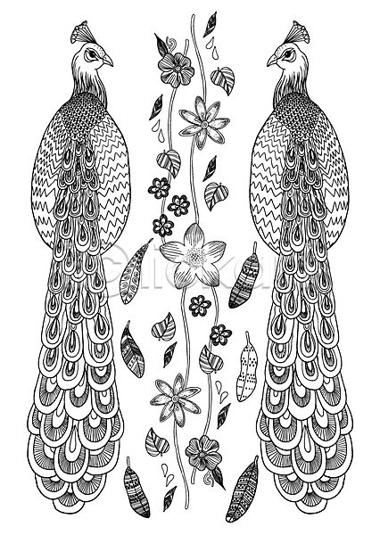 사람없음 AI(파일형식) 일러스트 흑백 공작 꽃 나뭇잎 동물 문양 백그라운드 선 식물 젠탱글 조류 컬러 패턴 패턴백그라운드