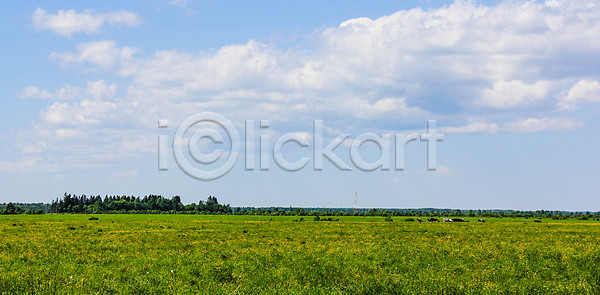 뜨거움 신선 사람없음 JPG 포토 해외이미지 강 계절 구름 나무 노란색 농업 농장 땅 땅바닥 러시아 러시아인 맑음 멀리 밭 벚꽃 봄 수평선 숲 시골 식물 야외 여름 자연 초록색 태양 파노라마 파란색 평야 풍경 하늘 해외202004 해외포토 흰색
