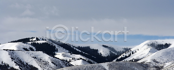 추위 사람없음 JPG 포토 해외이미지 겨울 계절 구름(자연) 나무 눈내림 배너 산 소나무 숲 스키 여행 자연 파노라마 파란색 풍경(경치) 하늘 해외202004 황무지