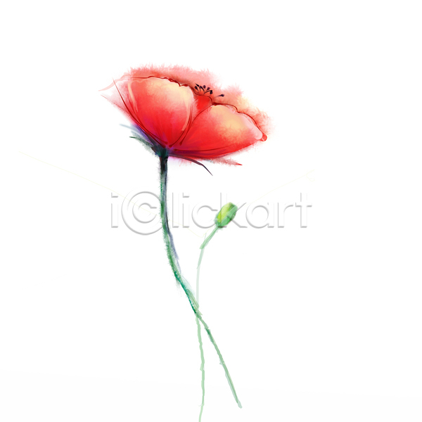 사람없음 JPG 포토 해외이미지 그림 꽃 미술 빨간색 손그림 수채화(물감) 양귀비 한송이 해외202004