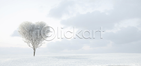 사람없음 JPG 편집이미지 겨울 계절 구름(자연) 나무 디지털아트 식물 편집 풍경(경치) 하늘 하트 합성