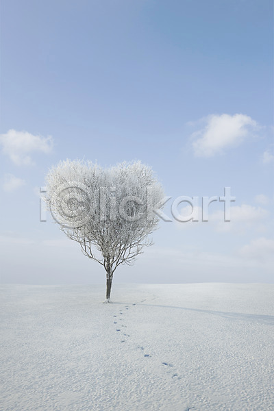 사람없음 JPG 편집이미지 겨울 계절 구름(자연) 나무 디지털아트 발자국 식물 편집 풍경(경치) 하늘 하트 합성