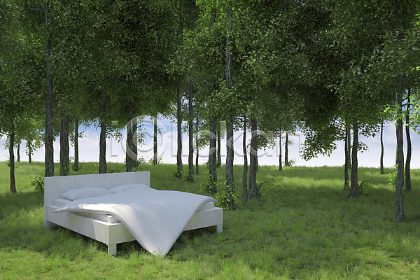 휴식 사람없음 JPG 편집이미지 나무 디지털아트 숲속 식물 야외 이불 자연 잔디 주간 침대 편집 합성