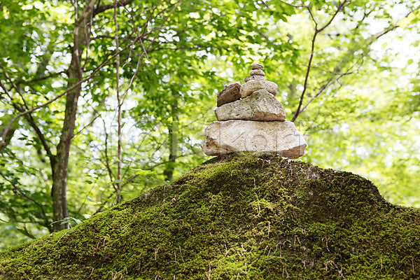 상쾌 사람없음 JPG 포토 계절 나무 돌(바위) 바위(돌) 석탑 숲 식물 야외 여름(계절) 여름풍경 자연 주간 풍경(경치) 한국 한국문화