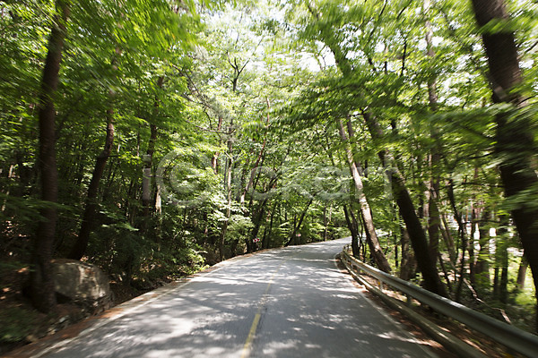 상쾌 사람없음 JPG 포토 계절 나무 도로 식물 야외 여름(계절) 여름풍경 자연 주간 풍경(경치) 한국