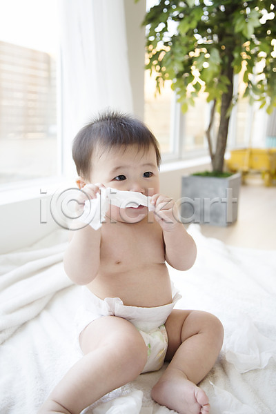 귀여움 남자 남자아기만 남자아기한명만 동양인 사람 아기 아기만 한국인 한명 JPG 포토 기저귀 스튜디오촬영 실내 앉기 장난 화장지
