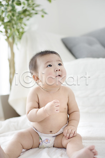귀여움 남자 남자아기만 남자아기한명만 동양인 사람 아기 아기만 한국인 한명 JPG 포토 기저귀 담요 스튜디오촬영 실내 앉기 응시