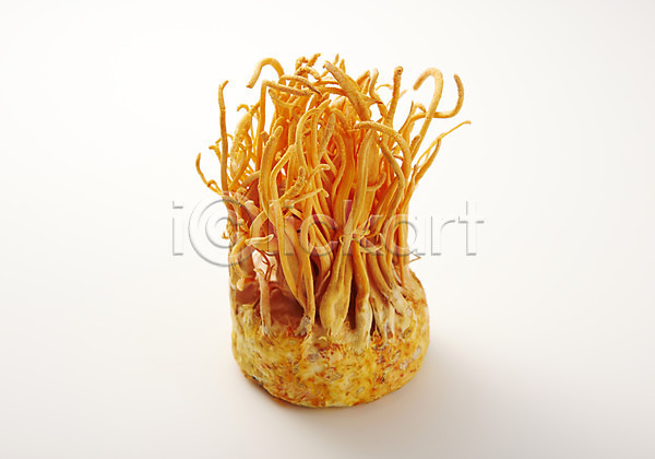 사람없음 JPG 포토 건강식품 동충하초 버섯 스튜디오촬영 식재료 실내 약재 음식