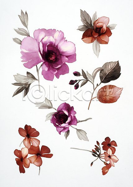 사람없음 JPG 일러스트 해외이미지 그림 꽃봉오리 번짐 붓터치 수채화(물감) 식물 해외202004