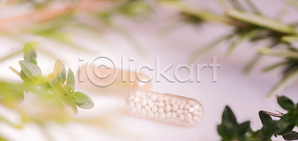 준비 사람없음 JPG 포토 해외이미지 꽃 시트 알약 약 약재 약초 음식 자연요법 전구 정물화 채소 치료 테라피 해외202004 해외포토 허브