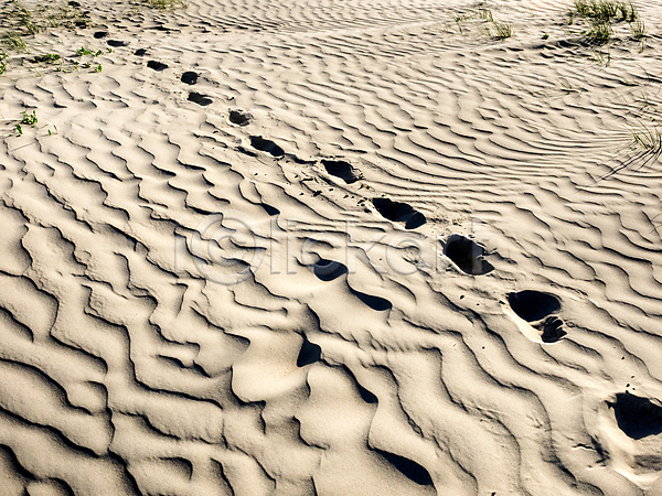 산책 사람없음 JPG 포토 해외이미지 길 단계 맨발 모래 바다 발자국 백그라운드 여름(계절) 여행 인쇄 자연 파도 풍경(경치) 해외202004