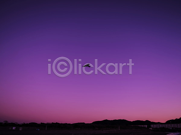 사람없음 JPG 실루엣 포토 노을 동물 산 야간 야외 어둠 일몰 일출 자연 자연현상 조류 풍경(경치) 하늘 한마리