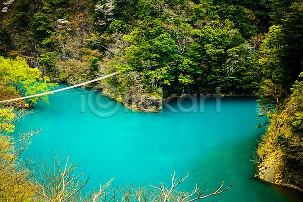 사람없음 JPG 포토 나무 다리(건축물) 숲 시즈오카 식물 아시아 야외 연못 일본 자연 주간 청록색 초록색 컬러 풍경(경치) 해외풍경 호수