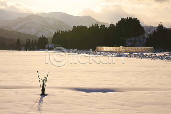 사람없음 JPG 포토 겨울 겨울풍경 계절 구름(자연) 나무 눈(날씨) 산 설원 식물 야외 일몰 자연 자연현상 주간 풍경(경치) 하늘