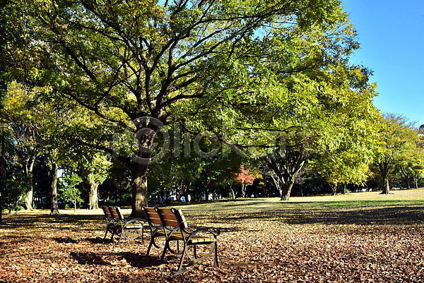 사람없음 JPG 포토 가을(계절) 가을풍경 계절 공원 나무 낙엽 벤치 식물 야외 의자 자연 주간 풍경(경치)