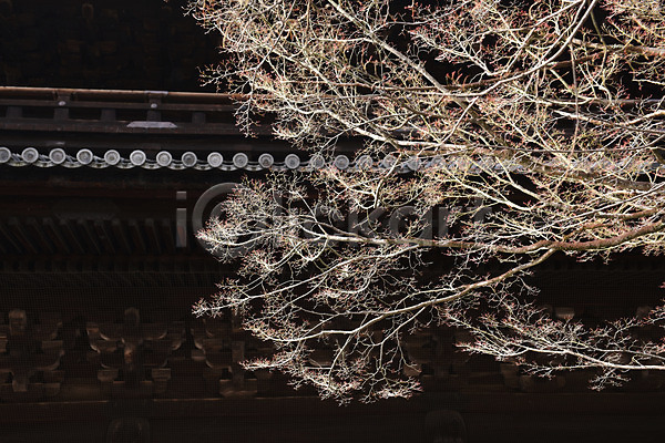 사람없음 JPG 포토 건축물 나무 나뭇가지 동양건축 사찰 식물 아시아 야외 일본 일본건축 일본문화 일본전통 전통문화 종교 종교시설 주간 처마 풍경(경치) 해외풍경
