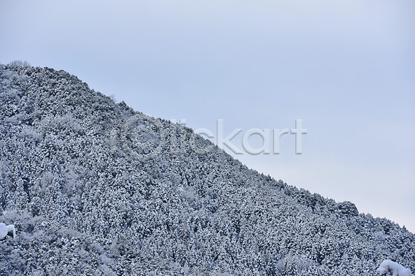 사람없음 JPG 포토 겨울 겨울풍경 계절 눈(날씨) 야외 자연 주간 풍경(경치)